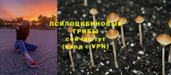 мдпв Белокуриха