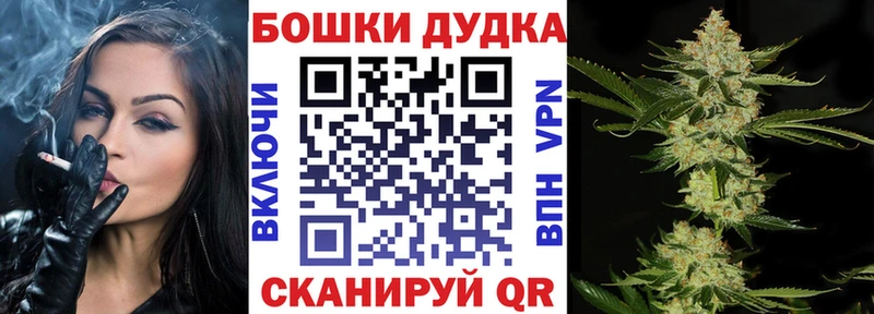 Бошки Шишки план  купить закладку  Мыски 